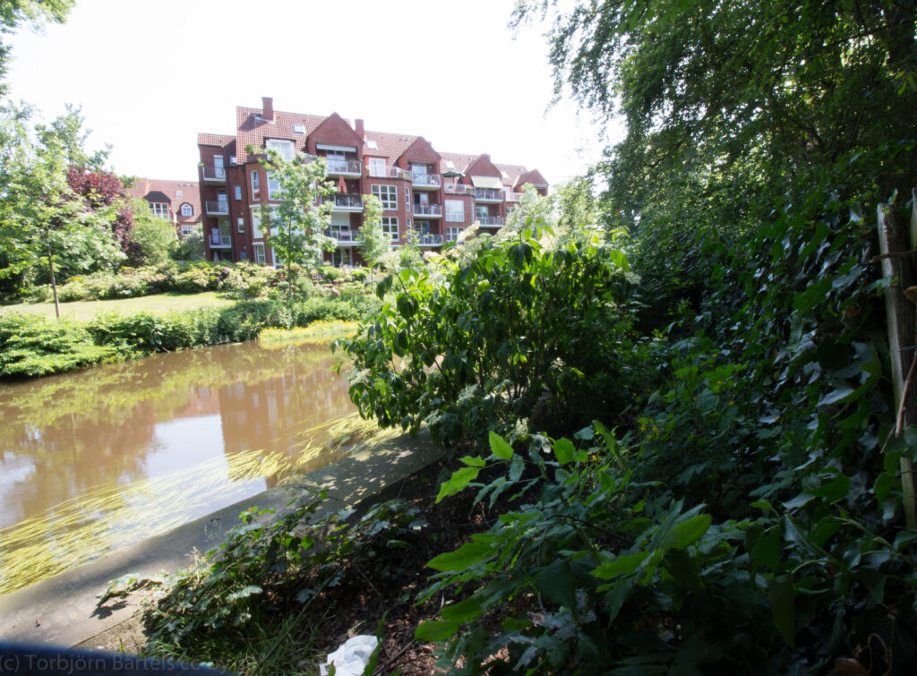 Stadthäuser mit Grünflächen am Wasser – Beispiel für geordnete Komposition in komplexer Szene