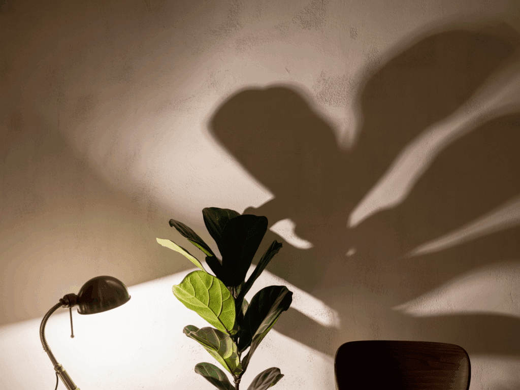 Schattenmuster an der Wand, erzeugt durch eine Lampe und eine Pflanze – spannende Indoor-Fotoideen für Anfänger
