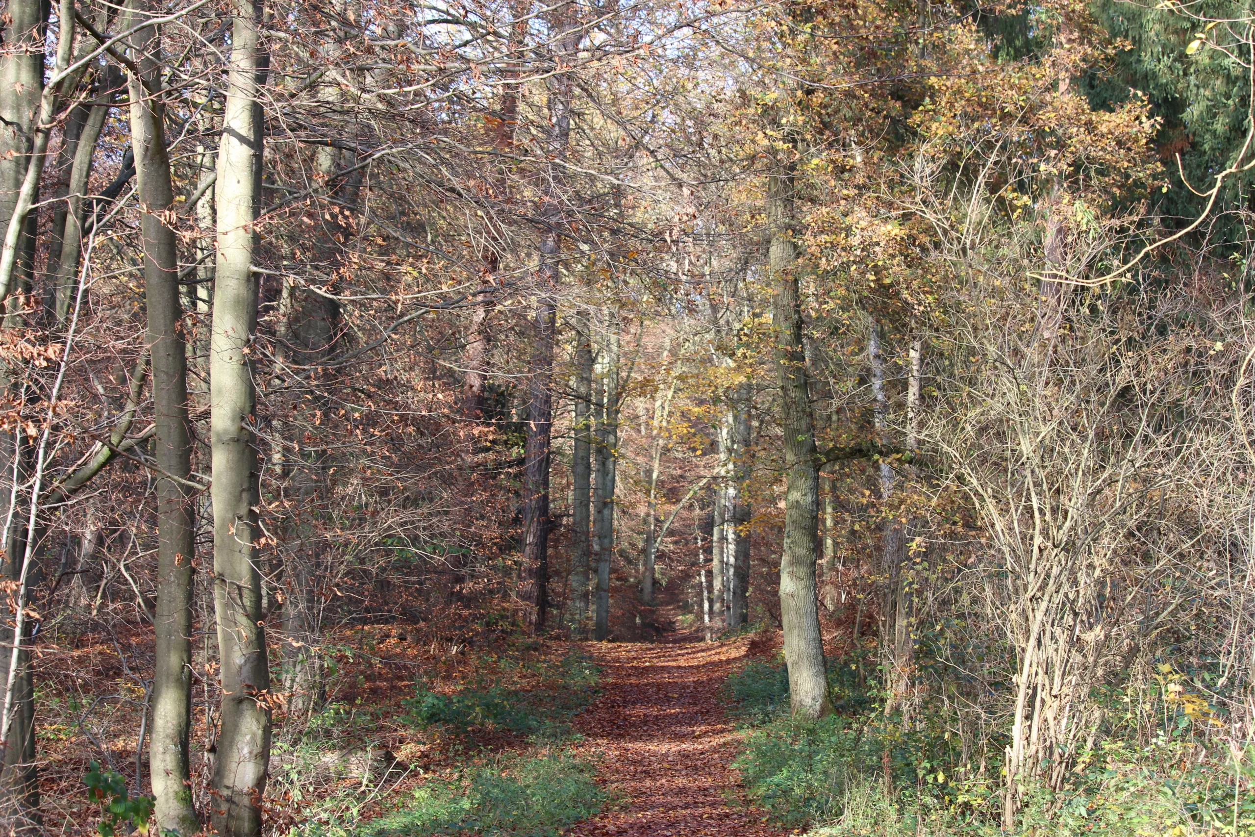 Makro-Alltag – Beispielbild für Fotoübungen