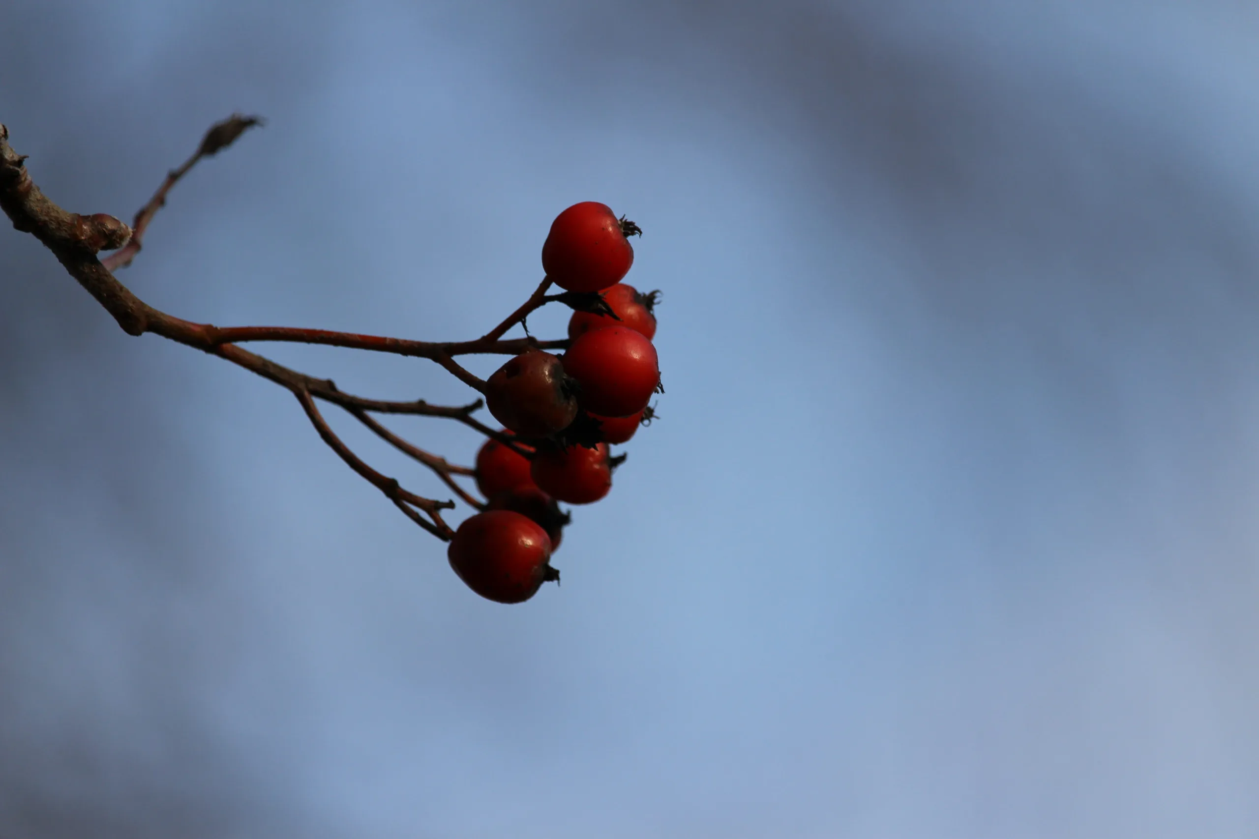 Nachtfotografie Beispiel – Langzeitbelichtung für Einsteiger