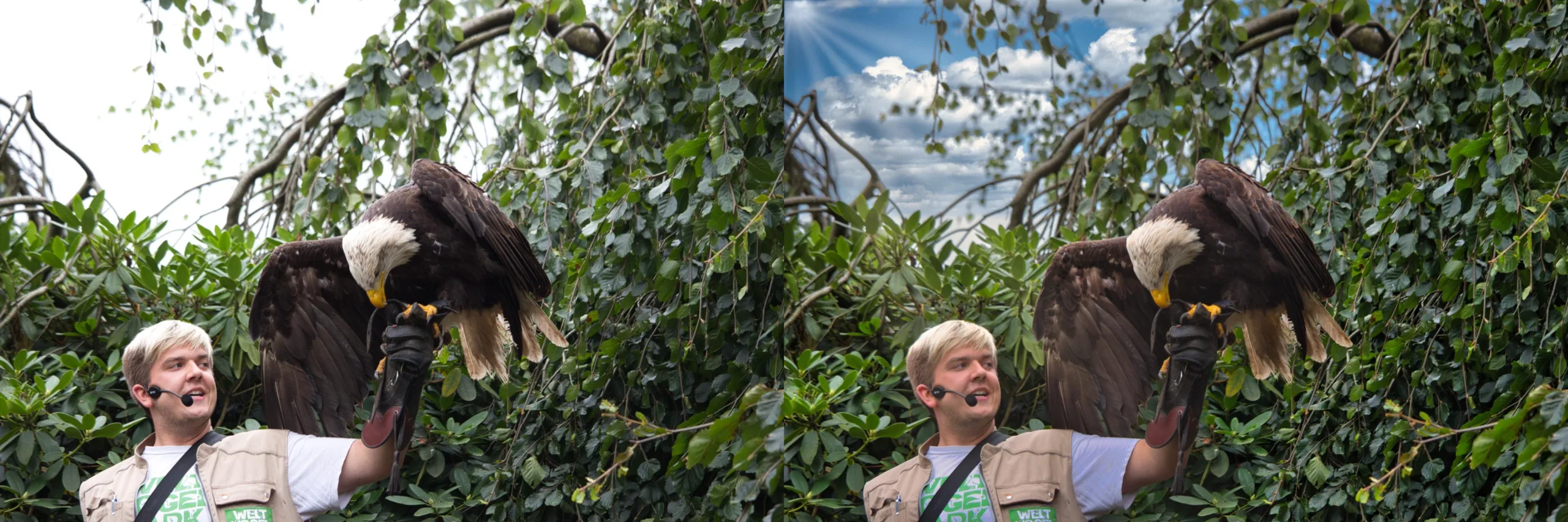 Vorher-Nachher Vergleich mit Luminar Neo