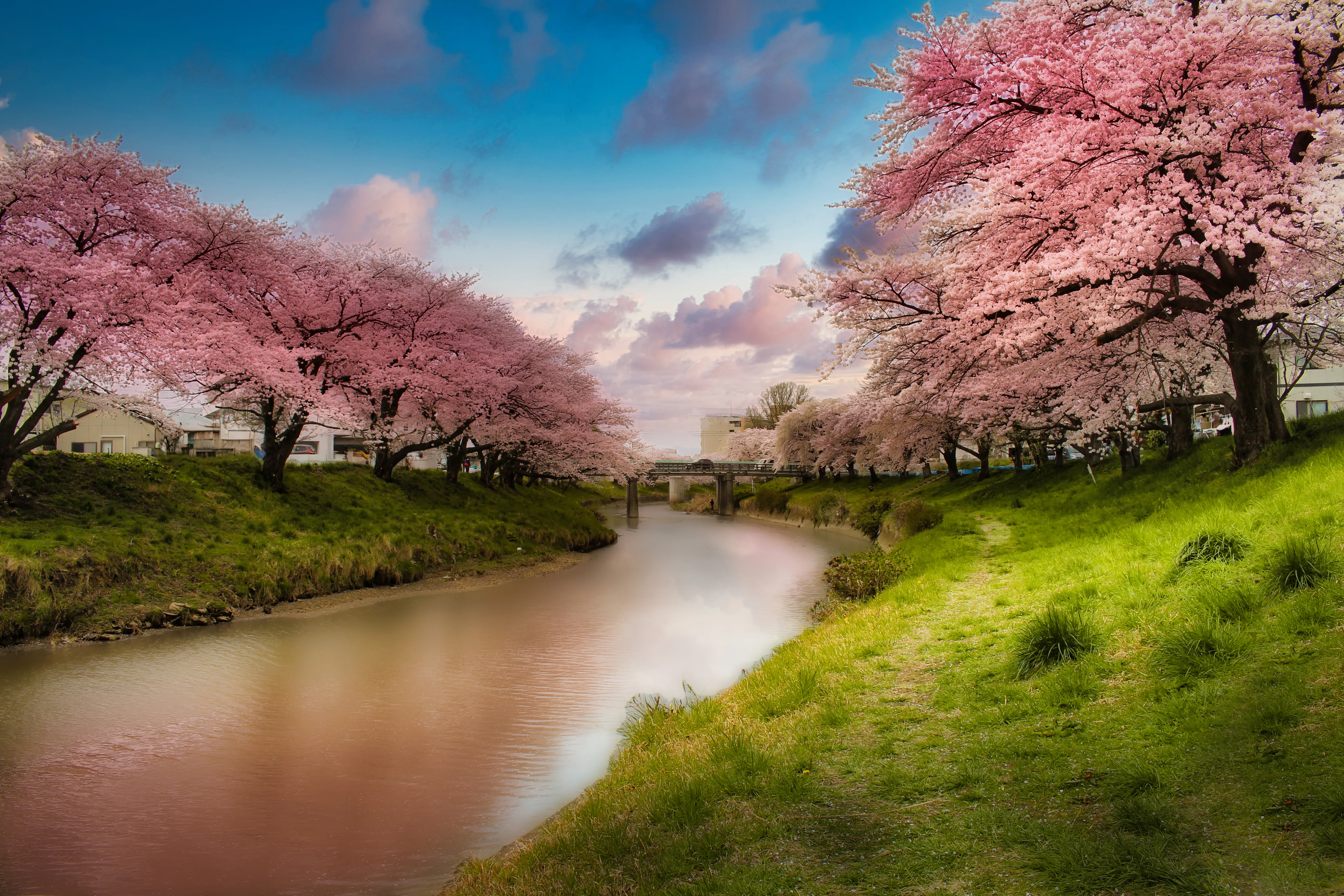 Georges Bearbeitung der Kirschblüte in Japan mit ausgetauschtem Himmel und angepasster Spiegelung im Wasser