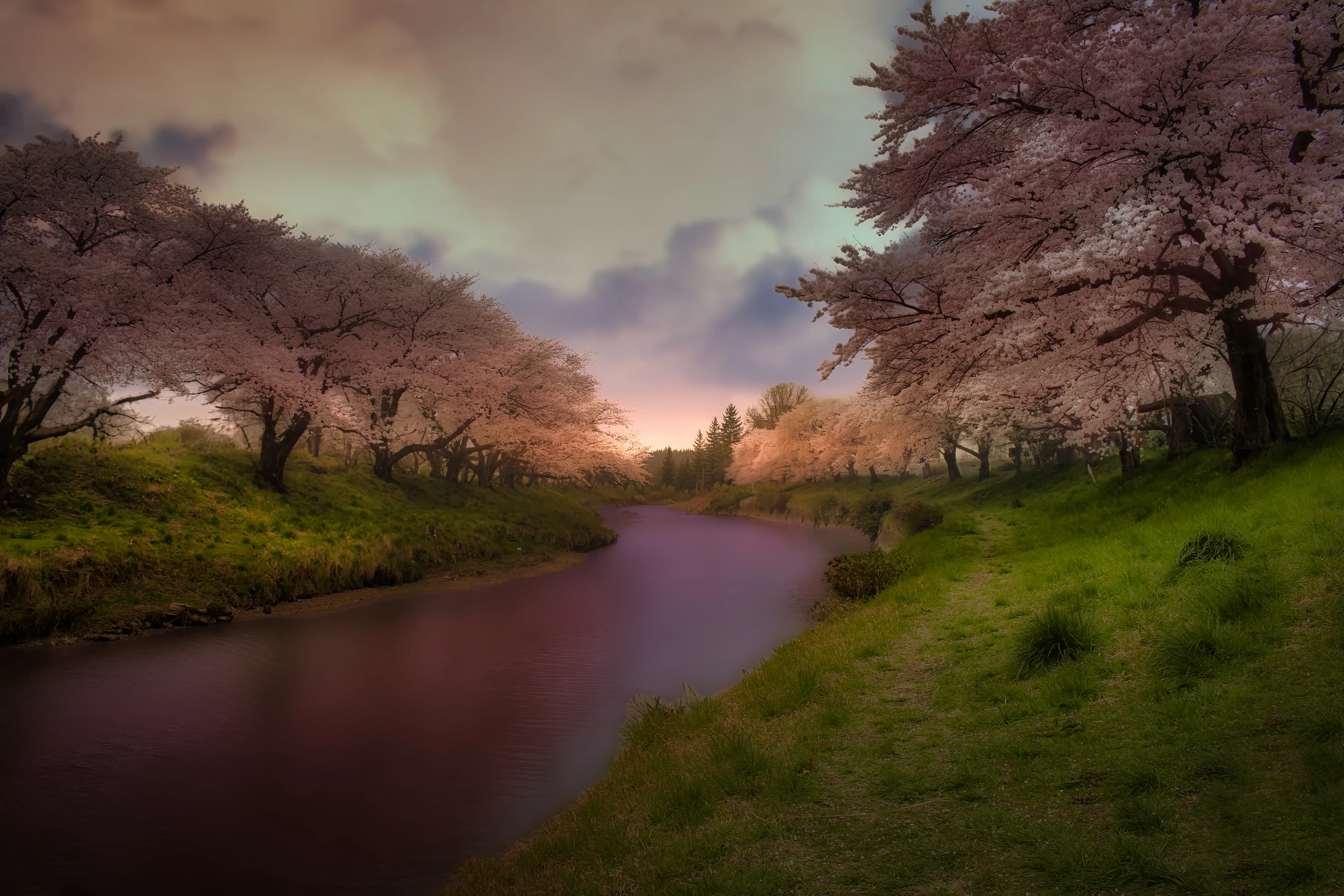 Georges kreative Bearbeitung der Kirschblüte in Japan mit entfernter Brücke und warmer Abendstimmung