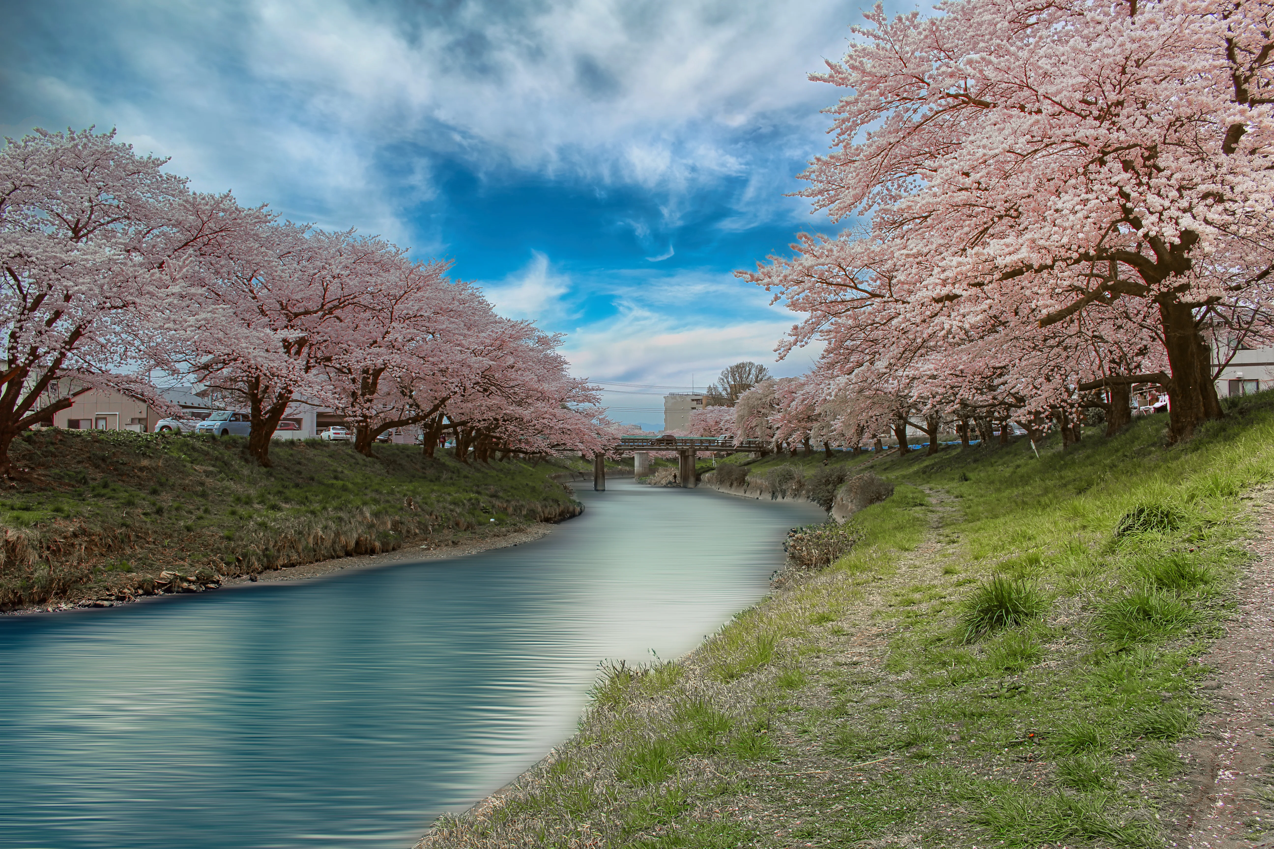 Jims dritte Bearbeitung der Kirschblüte in Japan mit neuem Himmel und gefärbtem Wasser